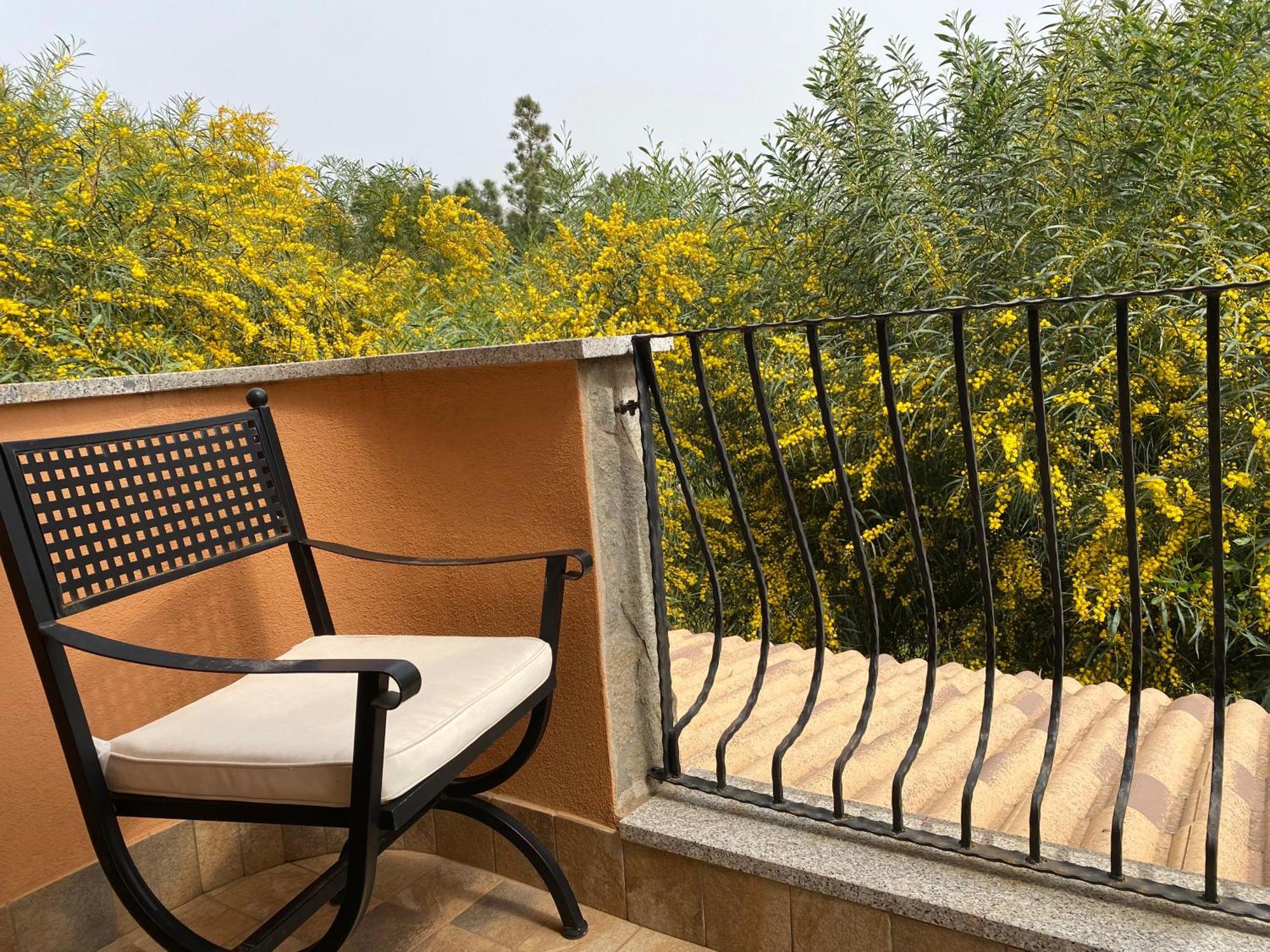Villa Residenza I Ginepri Domus De Maria Exterior foto