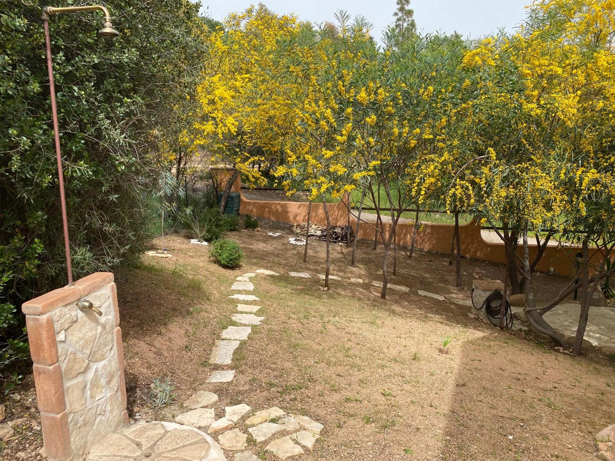 Villa Residenza I Ginepri Domus De Maria Exterior foto